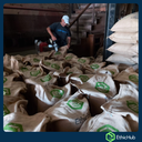 Chiapas ( Soconusco ) - Volcán Tacaná - Blend Bourbon, Typica, Caturra, Catimor - 7,14€ / kg. ( Saco 46 kgs.) - 84 SCA
