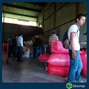 Chiapas ( Soconusco ) - Volcán Tacaná - Blend Bourbon, Typica, Caturra, Catimor - 7,14€ / kg. ( Saco 46 kgs.) - 84 SCA