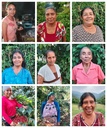 Chiapas ( Soconusco ) - Volcán Tacaná - Blend Bourbon, Typica, Caturra, Catimor - 7,14€ / kg. ( Saco 46 kgs.) - 84 SCA