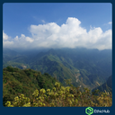 Chiapas ( San José Ixtepec ) - Neri Ortíz Pérez - Bourbon, Caturra - Natural -  ...€ / kg. ( Saco 46 kgs.) - 87.5 SCA 