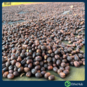 Chiapas ( San José Ixtepec ) - Neri Ortíz Pérez - Bourbon, Caturra - Natural -  ...€ / kg. ( Saco 46 kgs.) - 87.5 SCA 