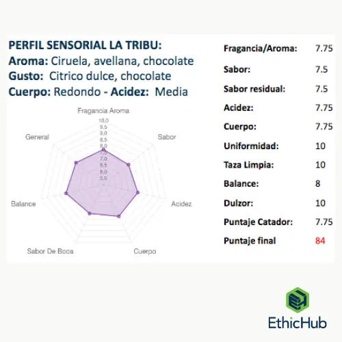 Rueda Perfil La tribu .webp