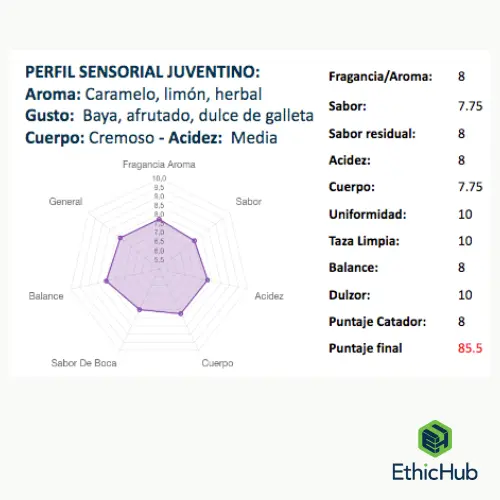 Rueda Perfil Juventino .webp