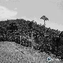 Juventino 5 (3).webp