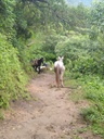 camino a La Soledad