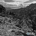 Regional Inga (9).webp