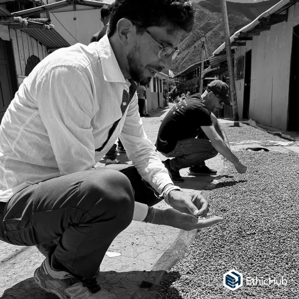 Regional Inga (3).webp