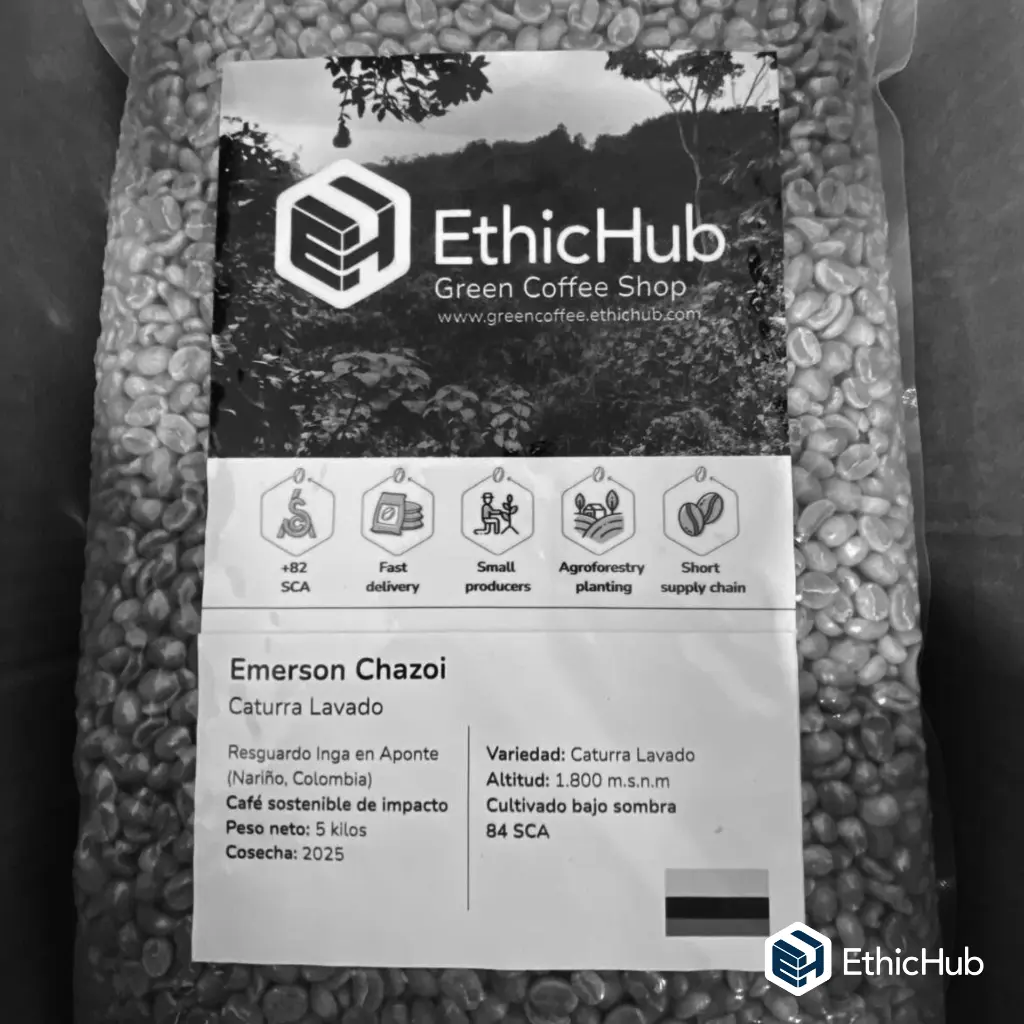 Paquete Emerson.webp