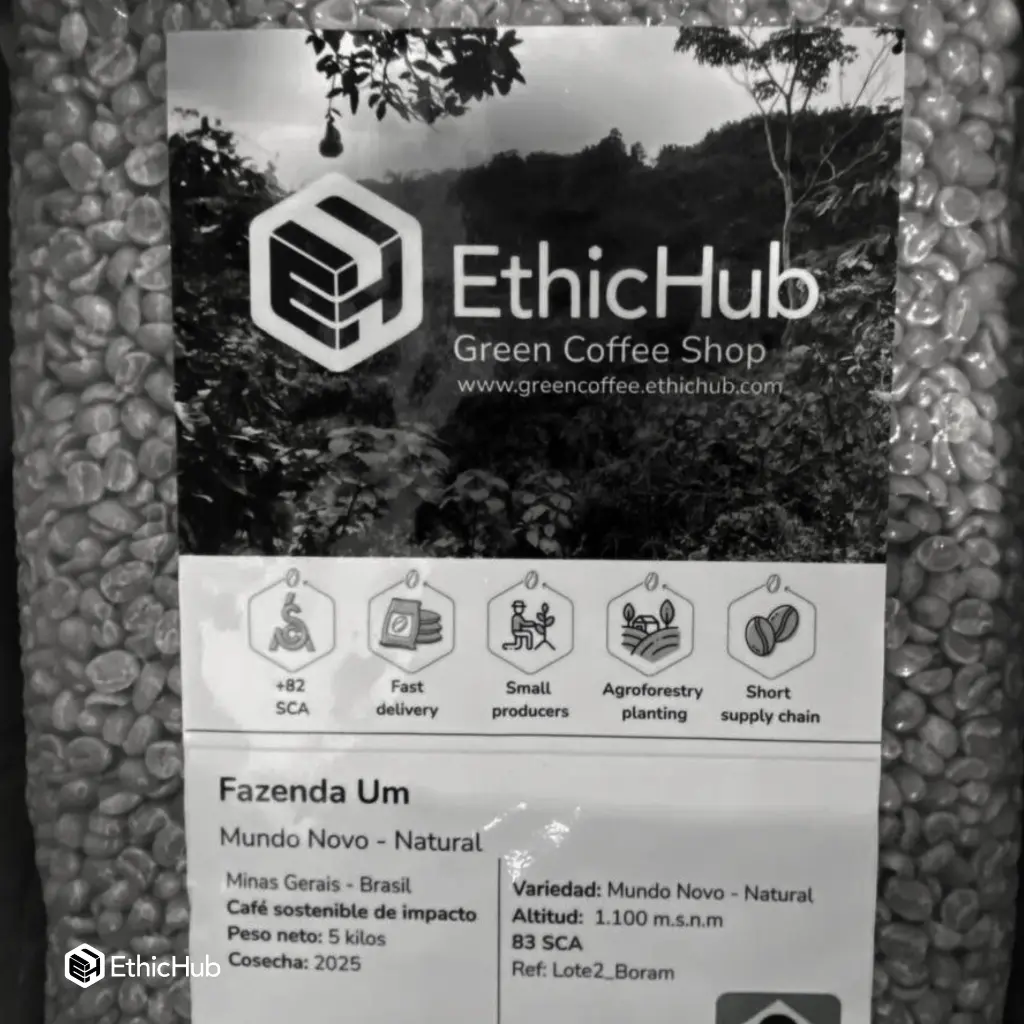 Fazenda Um - Mundo Novo 1.webp