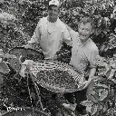 Fazenda Um - Wush wush (9).webp