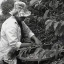 Fazenda Um - Wush wush (6).webp