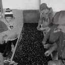 Fazenda Um - Wush wush (8).webp