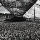 Fazenda Um - Wush wush (3).webp