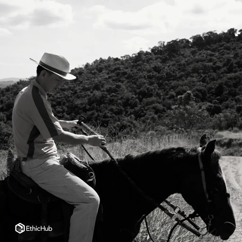 Fazenda Um - Pink Bourbon (2).webp