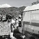 Cedros (2).webp