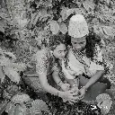 Cedros(5).webp