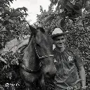 Duvan Alejandro Quisaboni Green Coffee / Huila (Colombia) – Gesha Honey Process – 87 SCA
