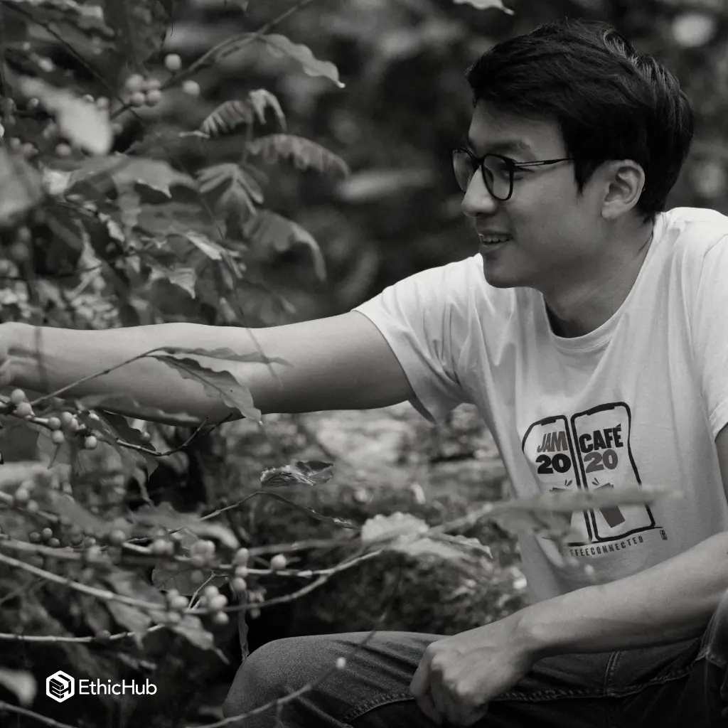 Fazenda Um / Minas Gerais (Brasil) – Wush Wush Natural – 85 SCA