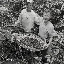 Fazenda Um – Pink Bourbon – Dark Room Natural – 87 SCA