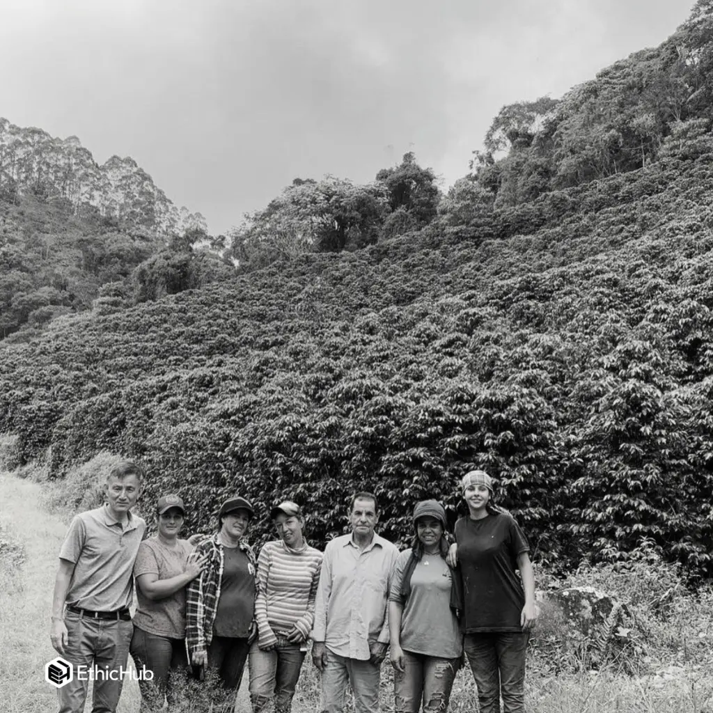 Fazenda Um / Minas Gerais (Brazil) – Yellow Bourbon Natural (Orange Blossom) – 87 SCA