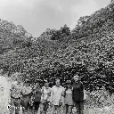 Fazenda Um - Yellow Bourbon - Orange Blossom - 87 SCA 