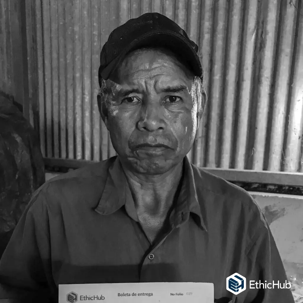 Lázaro Morales & Apolonia Pérez -Bourbon Lavado - 86 SCA (5kg)