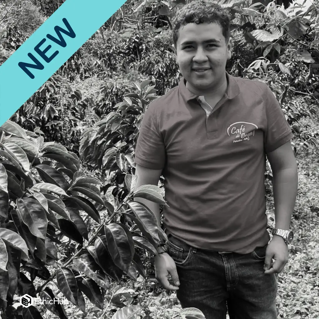 Finca Los Cedros / Huila (Colombia) – Bourbon Rosado Lavado – 86 SCA