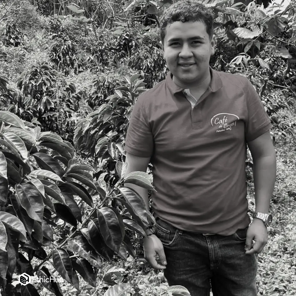 Finca Los Cedros / Huila (Colombia) – Washed Pink Bourbon – 86 SCA