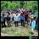 Chiapas (Jaltenango) - La Tribu - Blend Bourbon, Typica, Caturra - Lavado - 84 SCA - ( 10 kgs. ) 