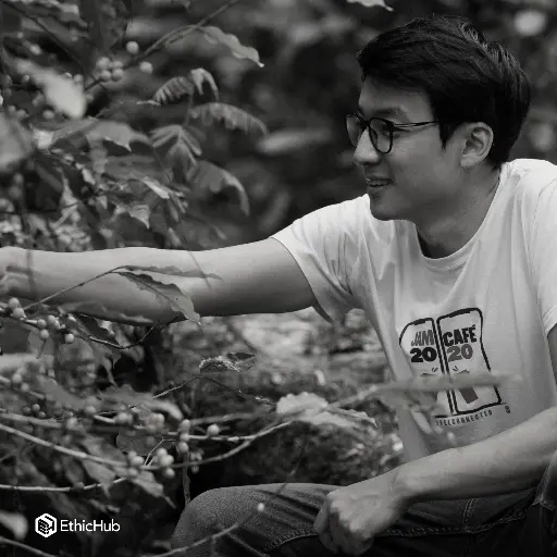 Fazenda Um / Minas Gerais (Brasil) – Wush Wush Natural – 85 SCA