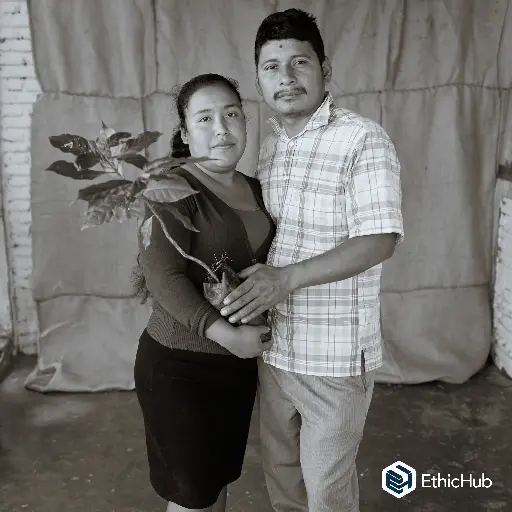 Juventino Matías Ortíz / Chiapas (México)  – Bourbon Lavado – 85,5 SCA 