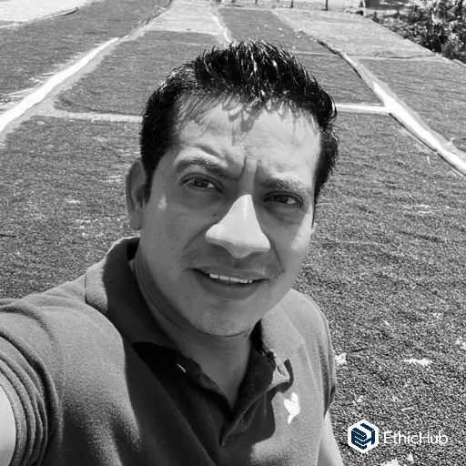 Neri Ortíz Pérez / Chiapas (México)  – Bourbon Honey – 86 SCA